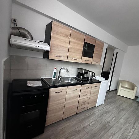 Apartmán Apartament Ultracentral Vatra Dornei Exteriér fotografie