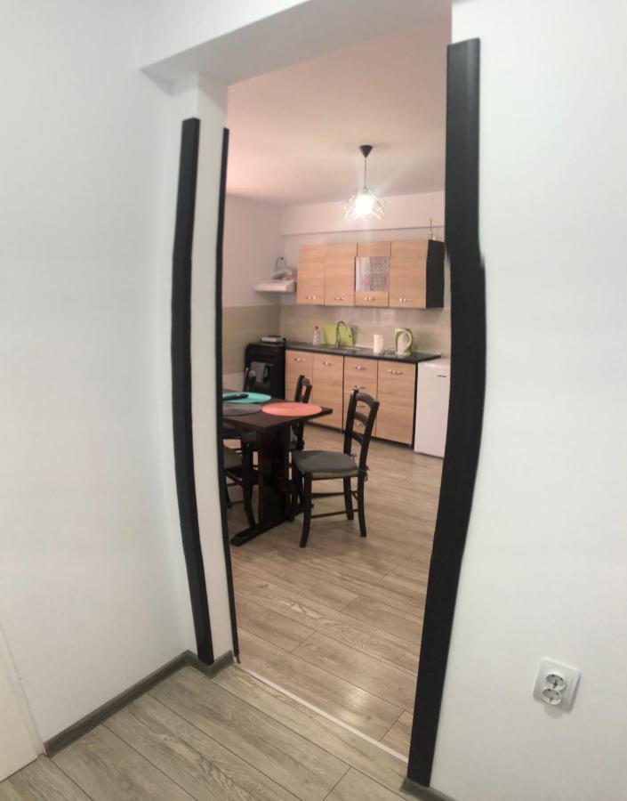 Apartmán Apartament Ultracentral Vatra Dornei Exteriér fotografie
