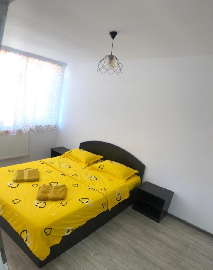 Apartmán Apartament Ultracentral Vatra Dornei Exteriér fotografie