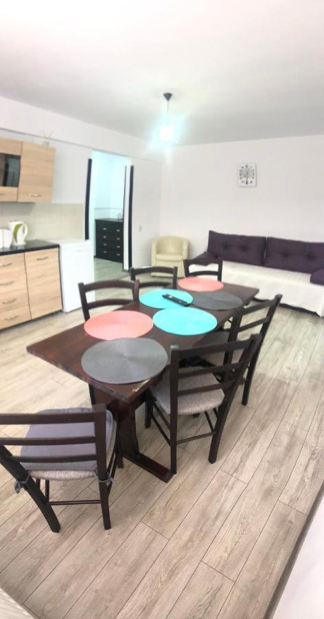 Apartmán Apartament Ultracentral Vatra Dornei Exteriér fotografie